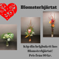 Veckans bästa erbjudanden från våra butiker!